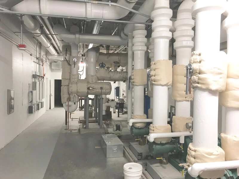 UW Life Science 4