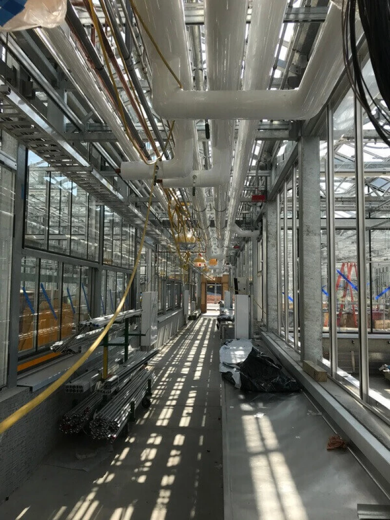 UW Life Science 1