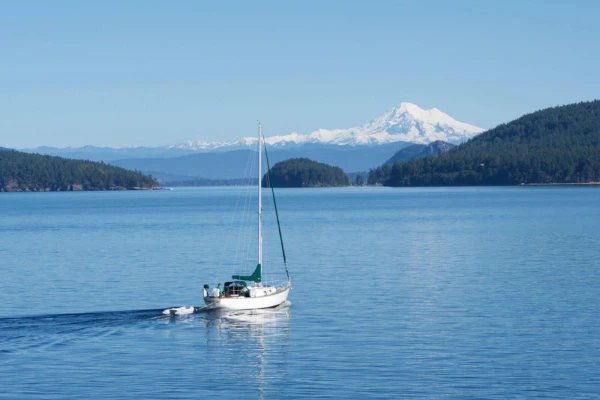 2022: To serve our clients in Northern Washington best, we opened our seventh office location in the city of Mount Vernon.&nbsp;